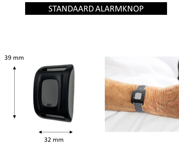 Standaard Alarmknop Met Afmetingen En Arm