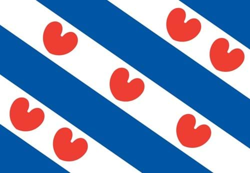 Digitale toegang voor de zorg in Friesland